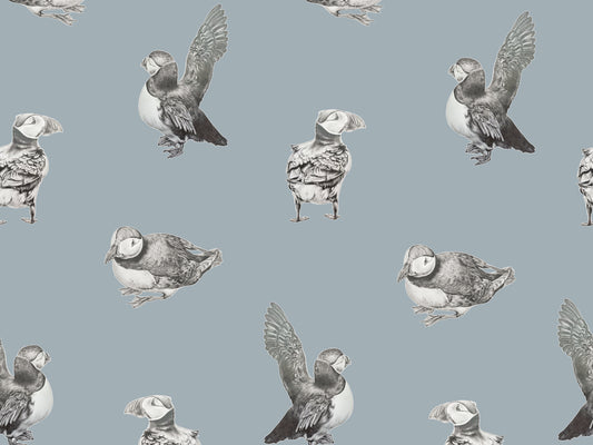 Puffin - Light Blue