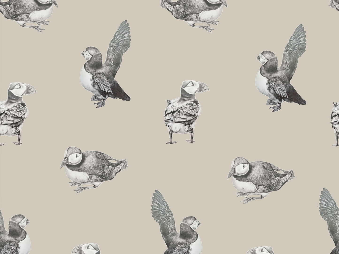 Puffin - Neutral