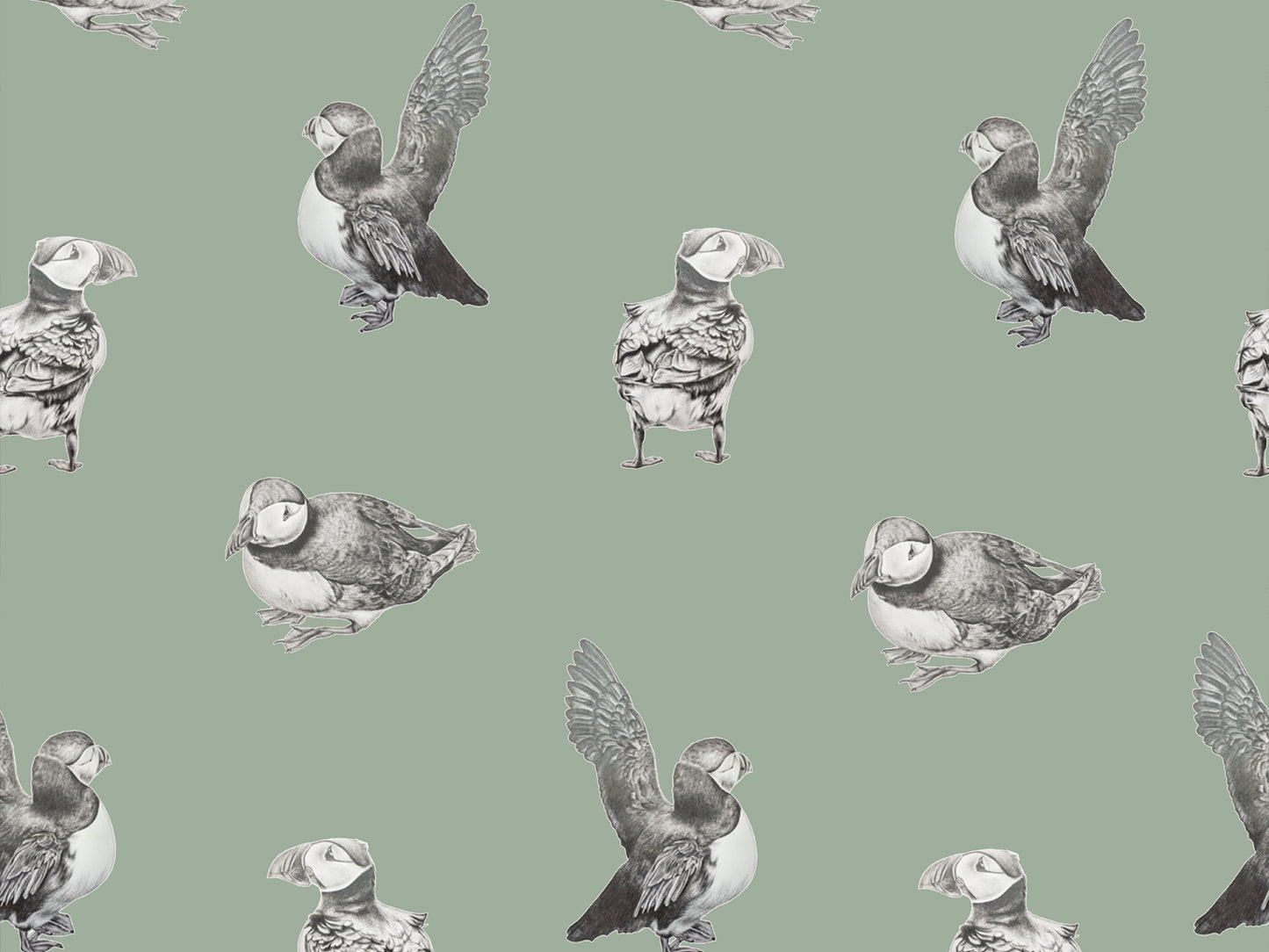 Puffin - Sage