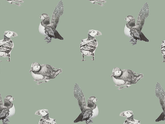 Puffin - Sage