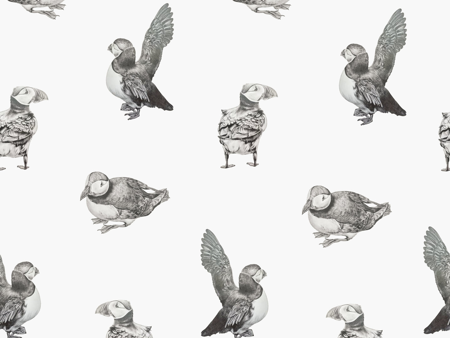 Puffin - White
