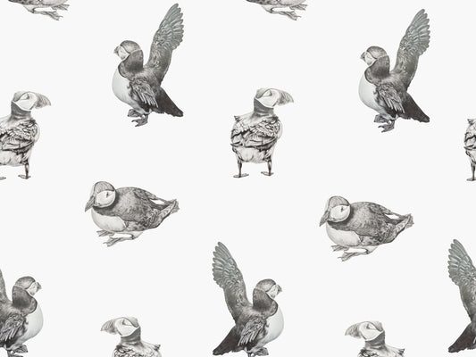 Puffin - White