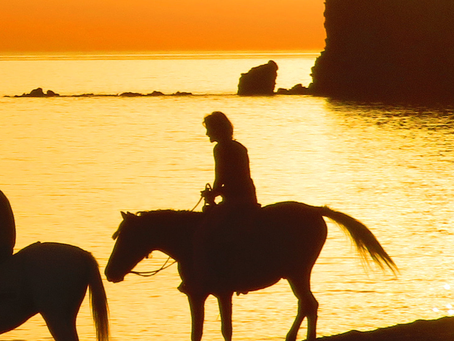 Scala Horses