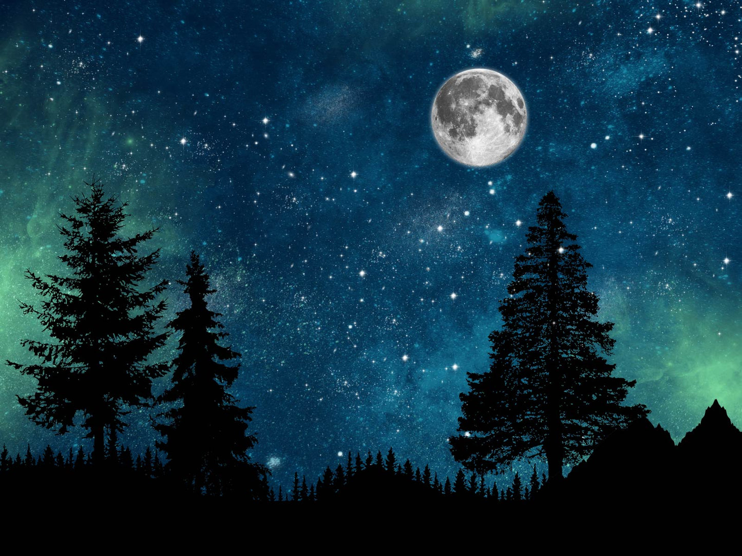 Star Gazer