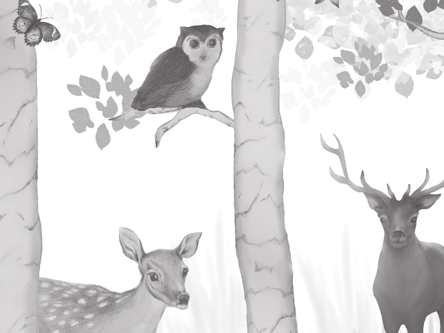 Woodland Adventure - Greyscale