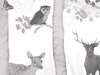 Woodland Adventure - Greyscale