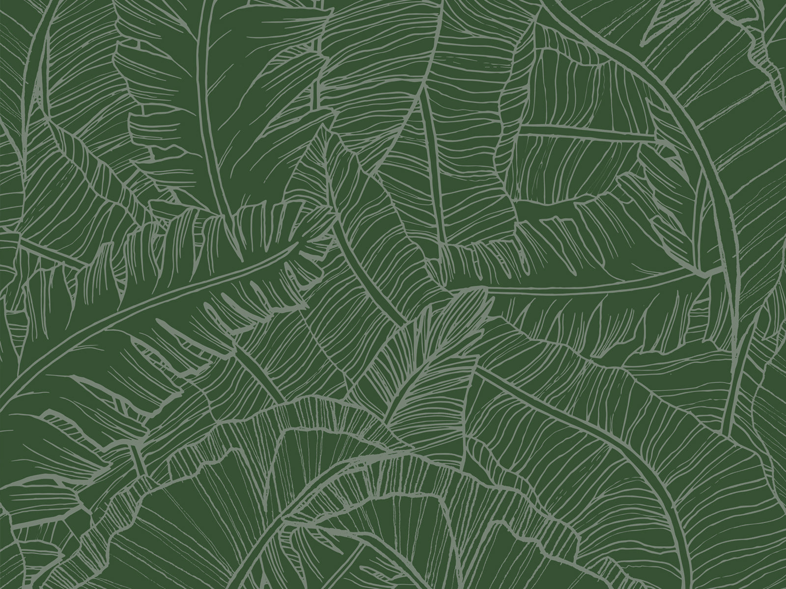 Premium Photo  Tropical banana leaf texture large palm foliage nature dark  green background