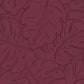 Cheese Plant - Plum