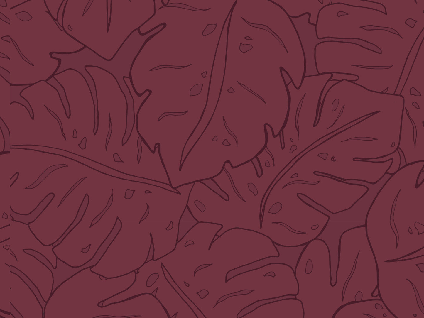 Cheese Plant - Plum