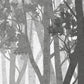Forest Wall - Grey