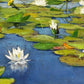 Water Lilies