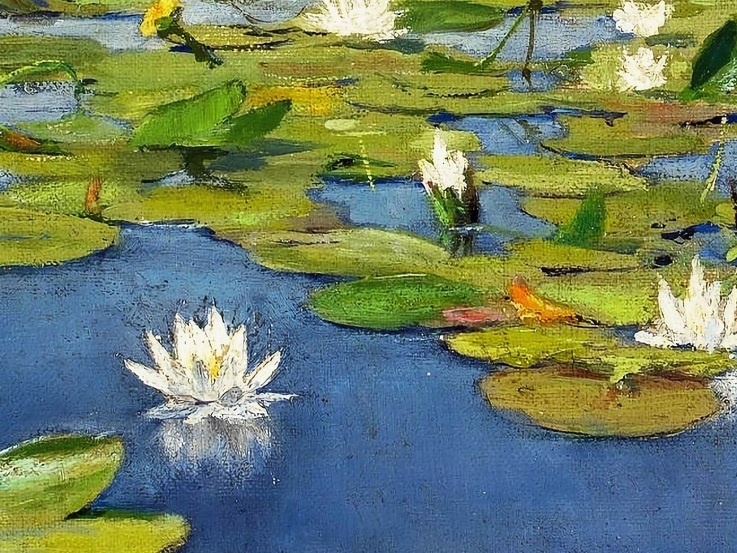 Water Lilies