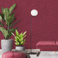Cheese Plant - Plum