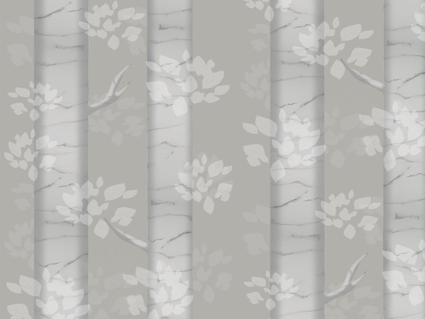 Silver Birch - grey